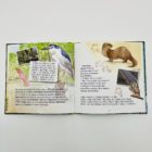 Livre "les p'tits secrets du Marais Poitevin" – Image 2