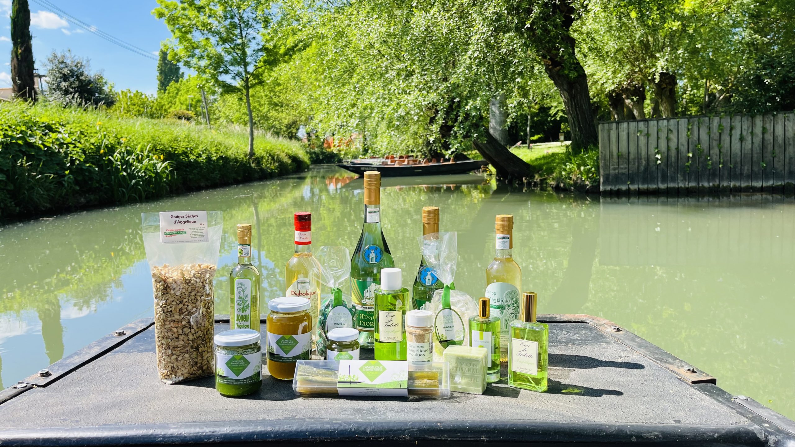 Angélique du Marais Poitevin