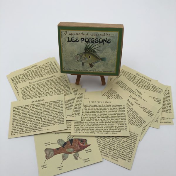 J'apprends à reconnaître les poissons – Image 4