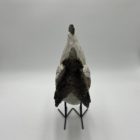 Coq blanc sur patte – Image 3