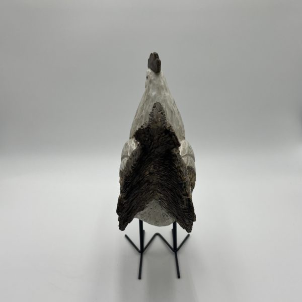 Coq blanc sur patte – Image 3