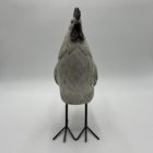 Coq blanc sur patte – Image 2