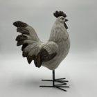 Coq blanc sur patte