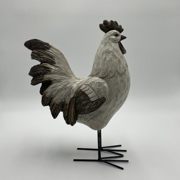 Coq blanc sur patte