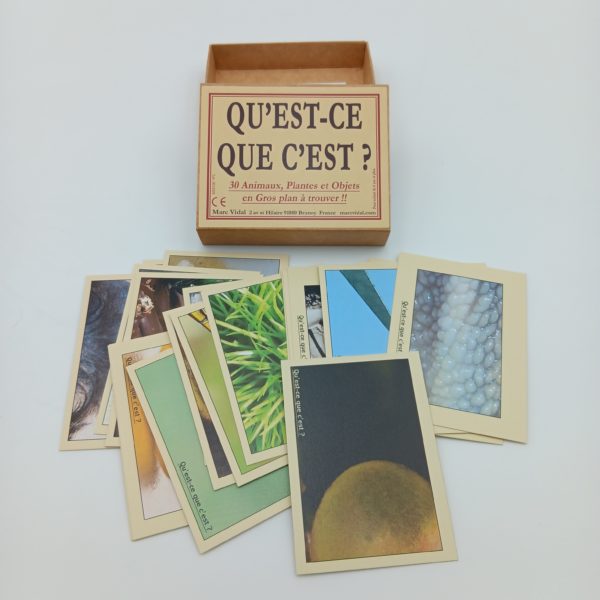 Qu'est-ce que c'est ? – Image 3