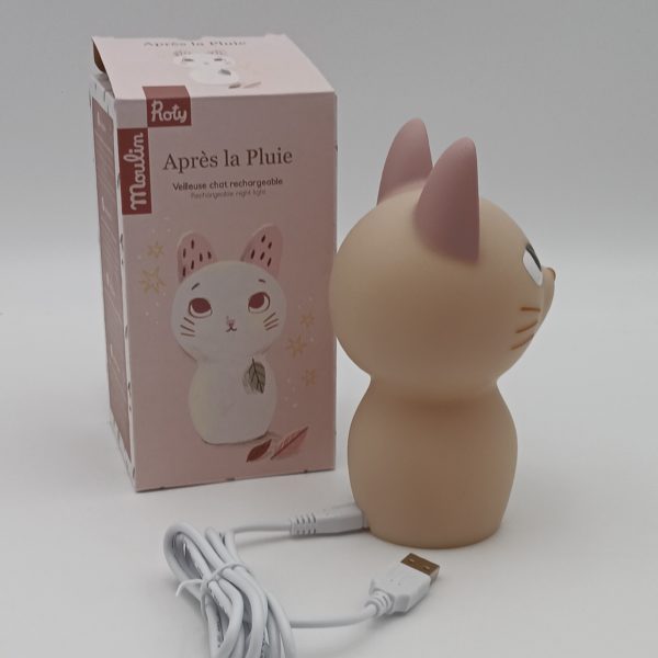 Veilleuse chat (après la pluie) – Image 4